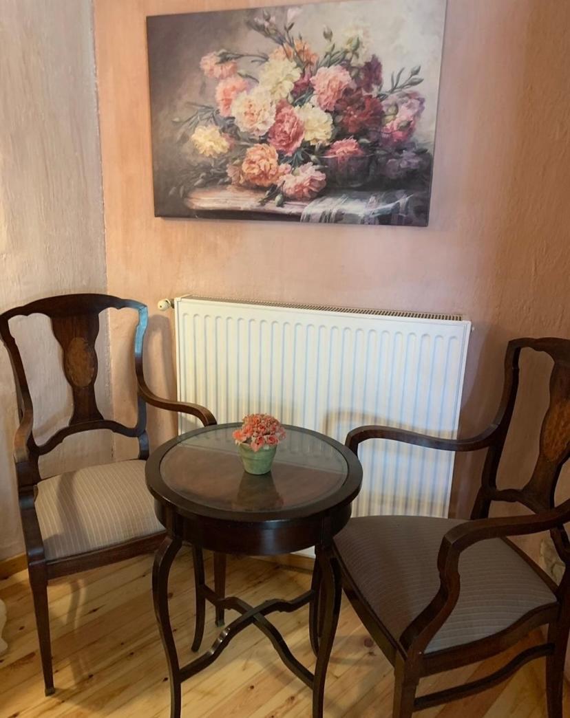Elaion Guesthouse Элиникон Экстерьер фото